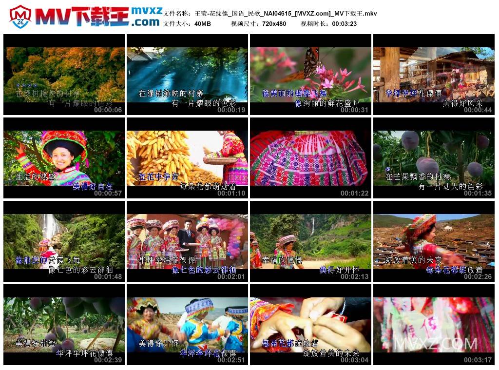王莹-花傈僳_国语_民歌_NAI04615